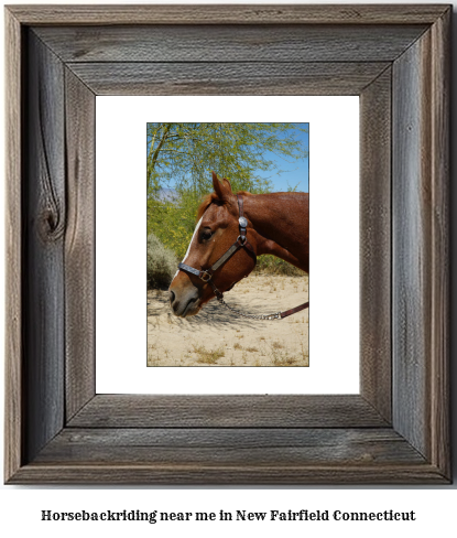 horseback riding near me in New Fairfield, Connecticut